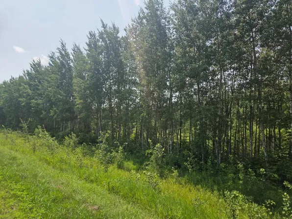 County Road 53 E, Mizpah, MN 56660