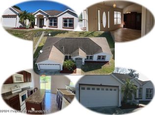 4374 Hedgewood Ave, Spring Hill, FL 34608