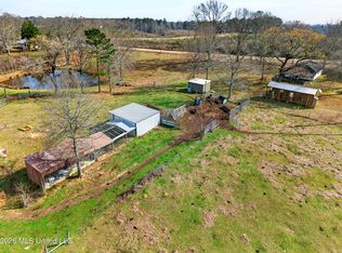67 Angie Rd, Sandy Hook, MS 39478