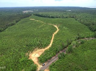 Alice Williams Rd, Gore Springs, MS 38929