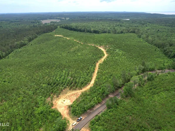 Alice Williams Rd, Gore Springs, MS 38929