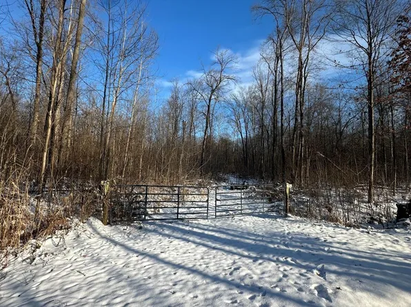 Hivon Rd, Maybee, MI 48159
