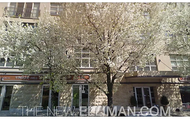 Sold by Douglas Elliman | media 7