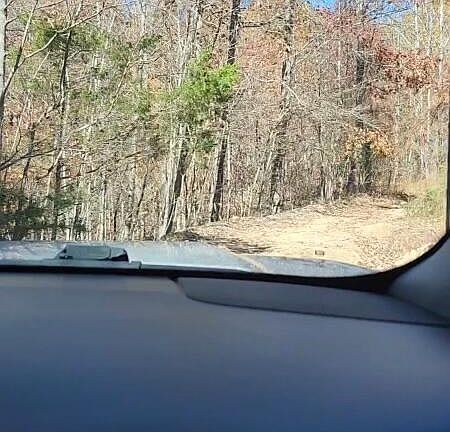 4th image of 1022 Lime Plant Hollow Rd