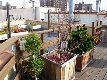 Planting Terrace