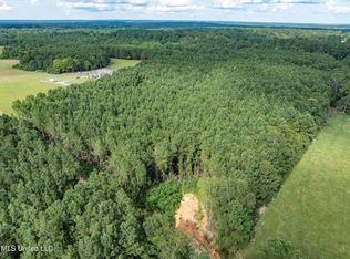 PARCEL J Runnels Rd #C, Petal, MS 39465