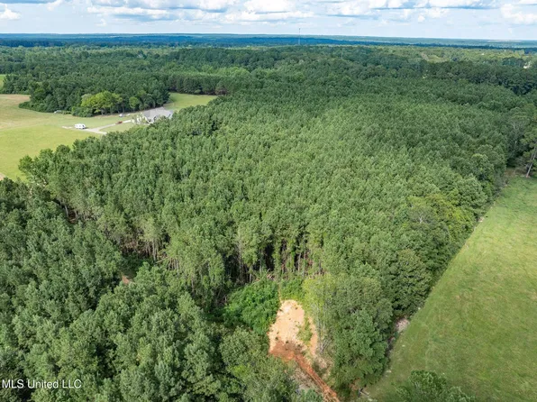 PARCEL J Runnels Rd #C, Petal, MS 39465