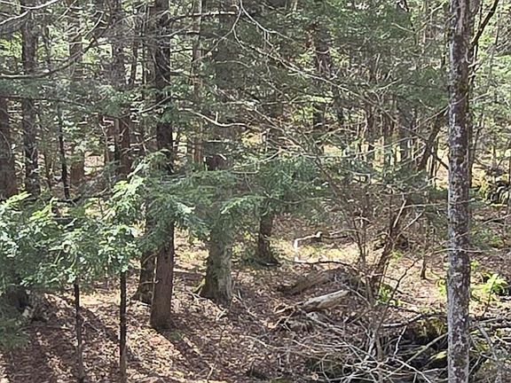 2nd image of Jacobs Ladder Rd