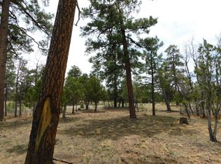 3352 Durango Dr, Happy Jack, AZ 86024