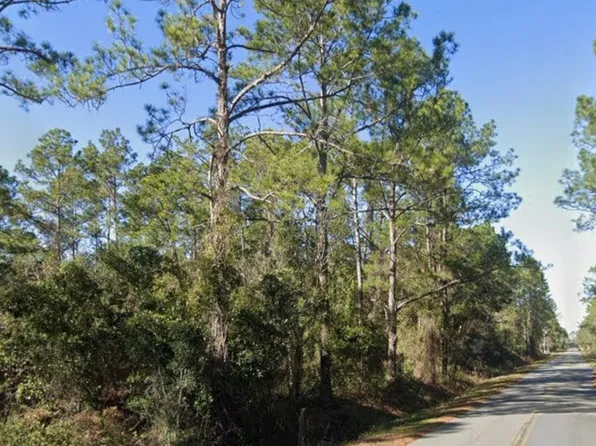 4300 Helena St, Hastings, FL 32145