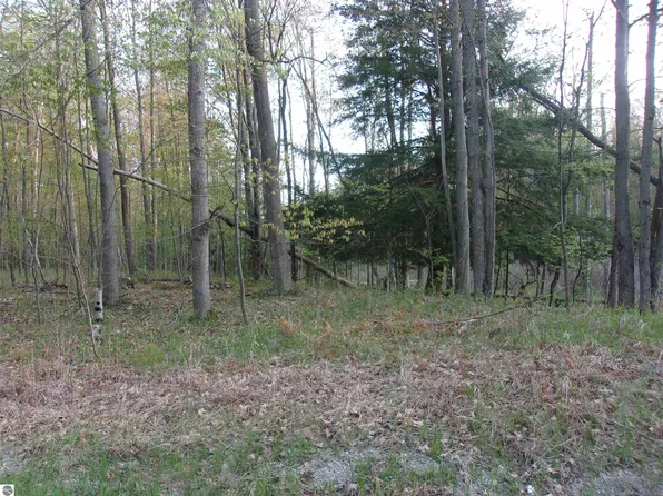 0 E Twining Rd, Twining, MI 48766