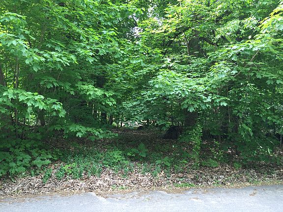 3rd image of 4870 Ferncroft Dr