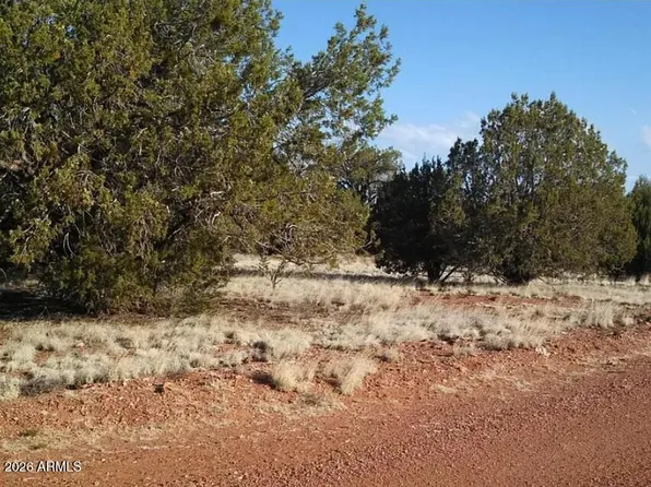625 Mystery Lane #-, Seligman, AZ 86337