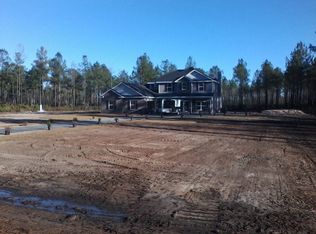 46 SE Vickers Rd, Ludowici, GA 31316