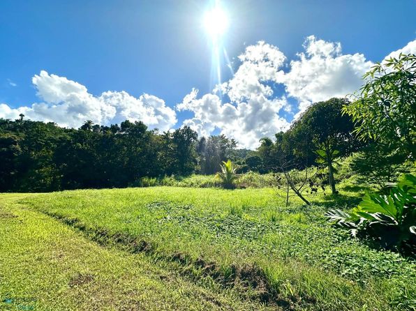 3.5 Carretera #956, Rio Grande, PR 00745