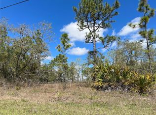 12207 Mirage Ave, Weeki Wachee, FL 34614