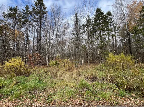 Deer Lake Rd, Exeland, WI 54835