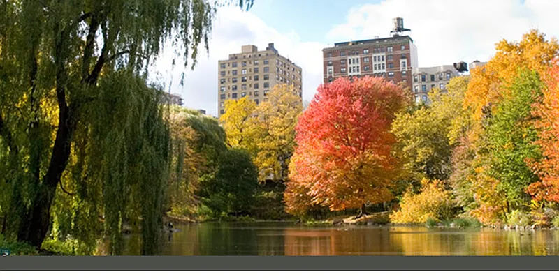 Rented by Owner | media 43