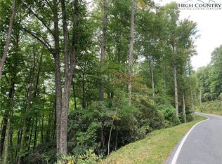 1126 Pine Ridge Rd, Beech Mountain, NC 28604