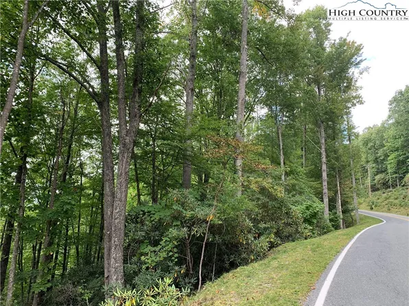 1126 Pine Ridge Road, Beech Mountain, NC 28604