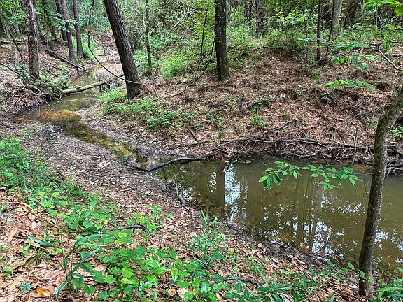 2nd image of 1131 Big Woods Rd
