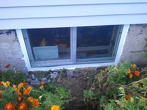 New basement windows