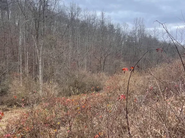 0 Lick Falls Rd, Olive Hill, KY 41164