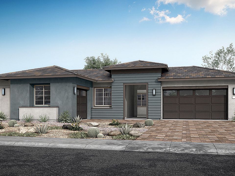 Cholla Rendering