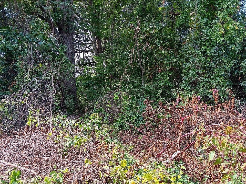2nd image of 0 Forest Grove Rd