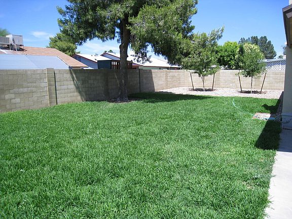 New lush lawn & trees
