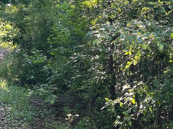 (undisclosed Address), Ward, AR 72176