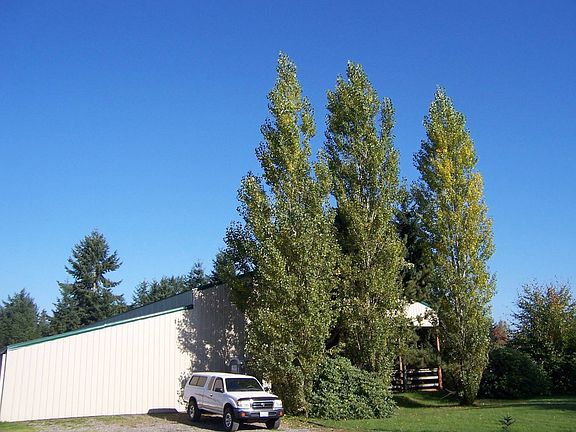 3rd image of 17434 Old Highway 99 SW