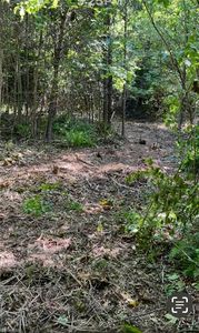 0 Albion Church Rd, Mount Airy, NC, 27030
