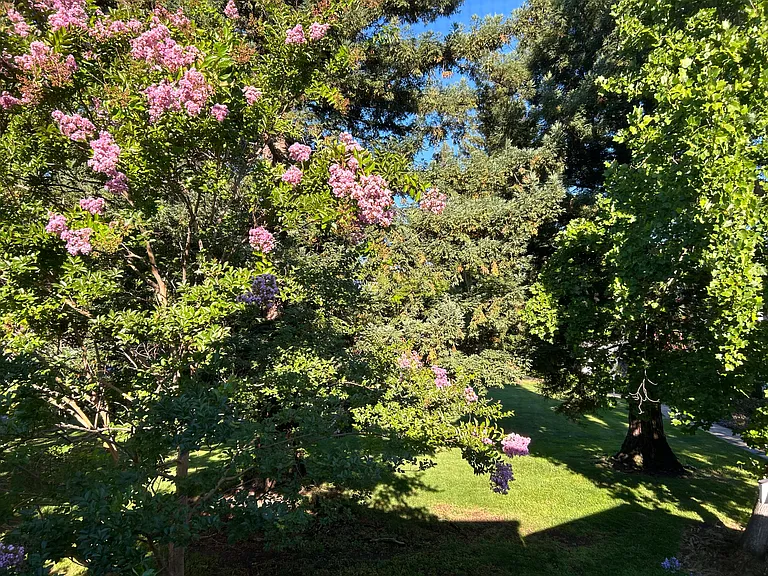 118 Village Ct — Photo 17