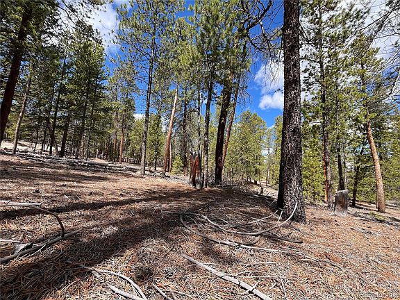 3rd image of 1013 Sequoia Drive