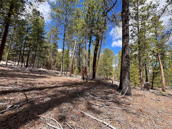 1013 Sequoia Drive, Twin Lakes, CO 81251