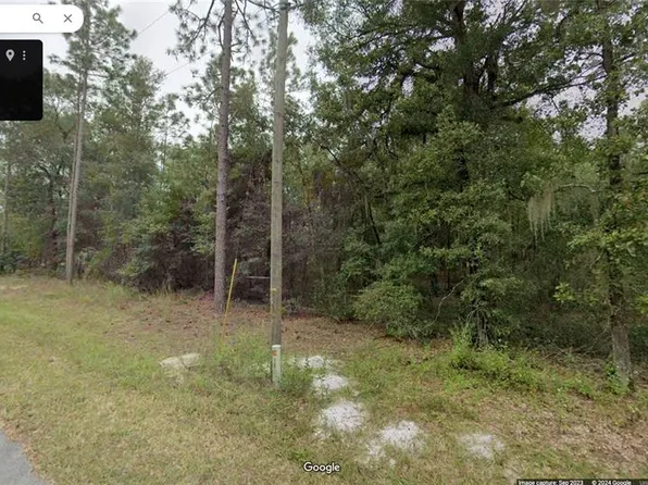 LOT Twelve, Williston, FL 32696