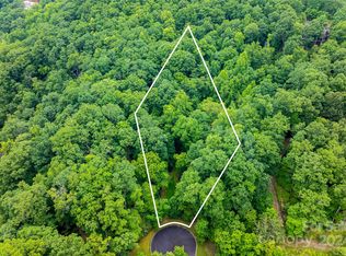 99999 Running Deer Trl #80, Horse Shoe, NC 28742