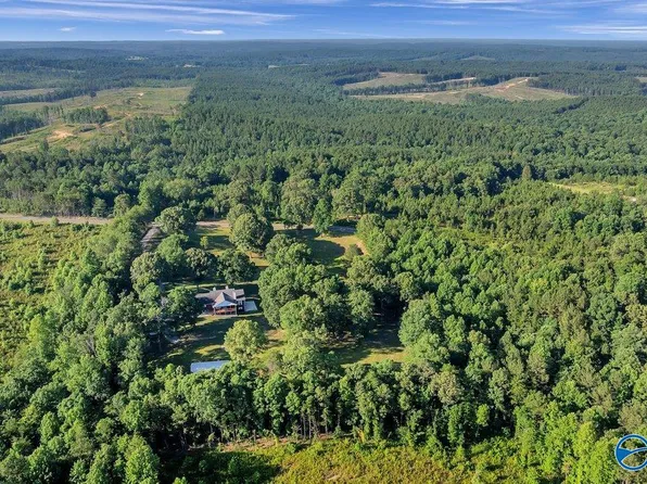 990 Chambers Rd, Double Springs, AL 35553