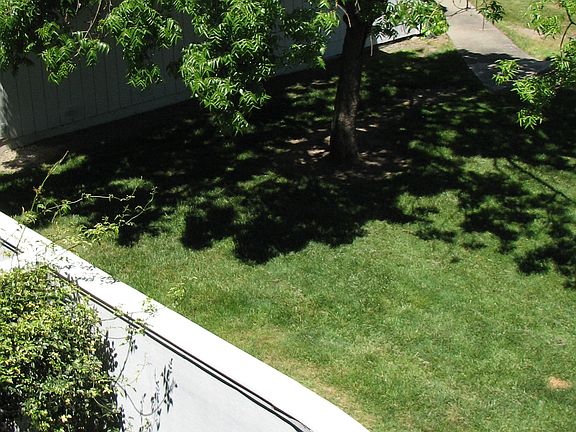 Green Space Behind Unit