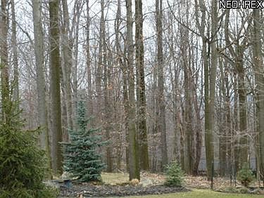 5th image of 8289 Claridge Ct