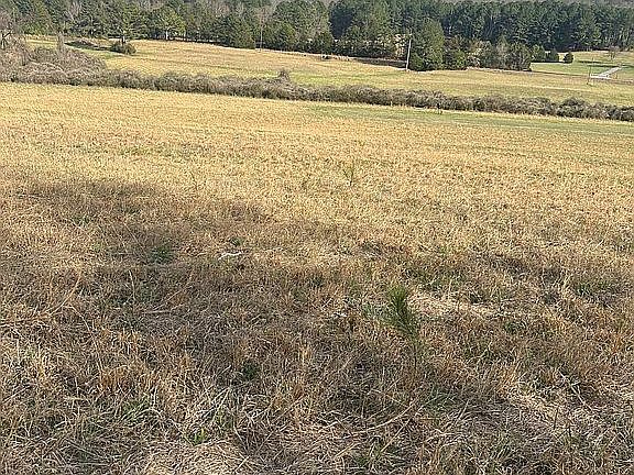 4th image of LOT 3 Old Cedartown Rd SE