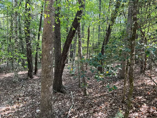 Caney Creek Rd, Murphy, NC 28906