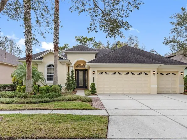 20408 Walnut Grove Ln, Tampa, FL 33647