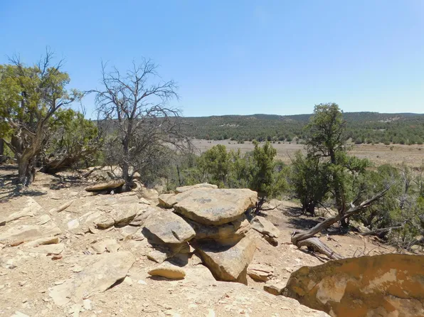 LOT 71 E Alexis Rd, Pie Town, NM 87827