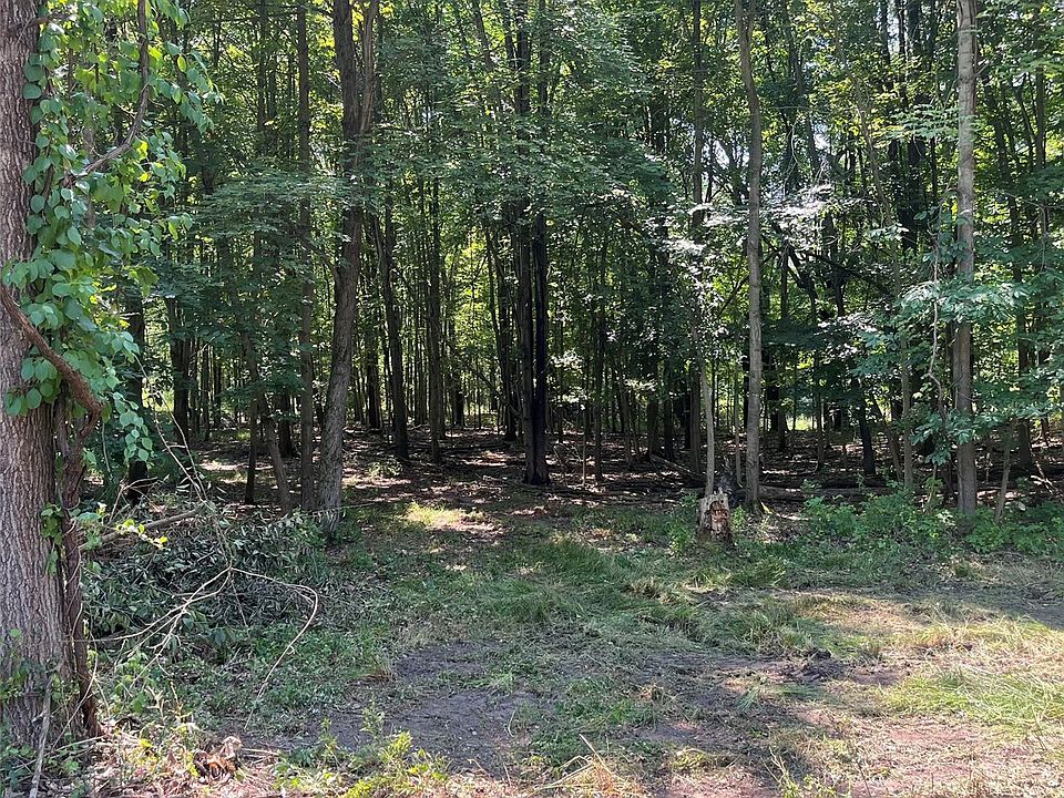 1255 Houghton Trl, photo 6
