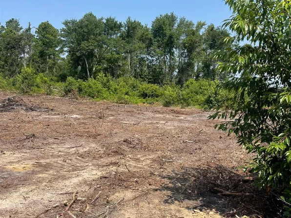 TBD W Highway 19 #Tract 5-A, Loris, SC 29569