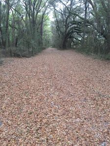 (Undisclosed Address), Dunnellon, FL, 34432