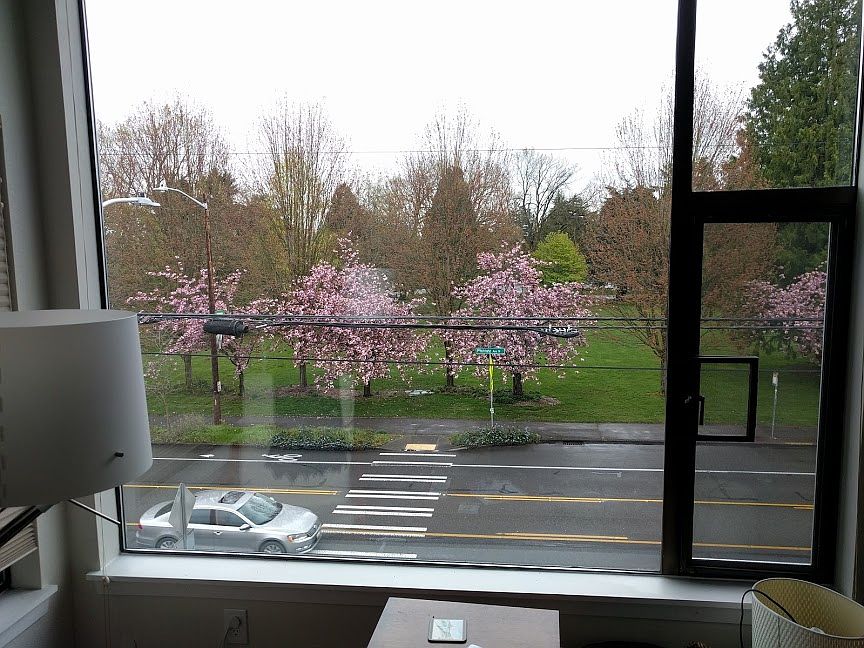 View of West Woodlawn Park