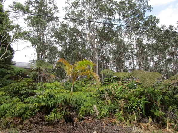 Anuhea St Lot 48, Volcano, HI 96785